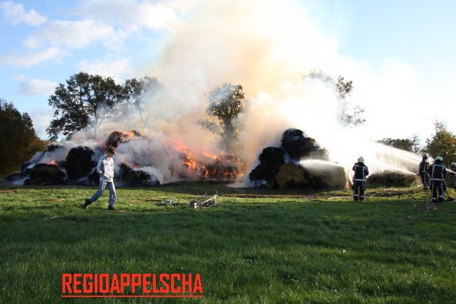 Regio Appelscha